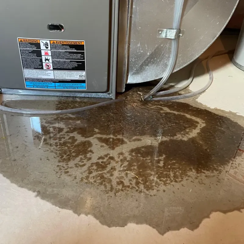 Appliance Leak Cleanup in Burien, WA